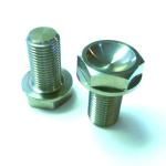 Motor Race Titanium Motorcycle Parts Ti6al4v Bolts Screw With Anodize Color