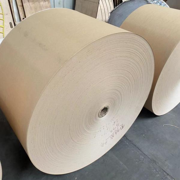 Oilproof PE Coated Kraft Paper 100% Virgin Wood Pulp For Bowl