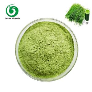 China Organic Wheat Grass powder,High quality Wheatgrass Powder 100% natural on sale