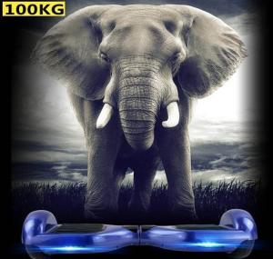 Wholesale Fashion TG Q3 Electric Scooters Self Balancing Skateboard Onewheel GK-F9 from china suppliers