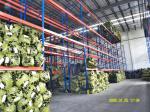 Material Handling Storage Cold Rolled Pallet Rack Systems For Clothing Industry