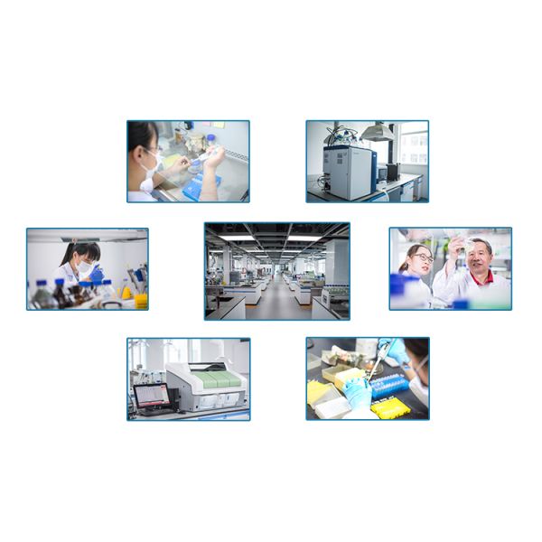 3 in 1 Industrial Enzymes Liquid Detergent with 99% Purity and 12 Months Shelf Life