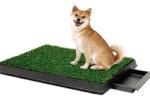 Green Artificial Pet Turf / Artificial Turf Grass For Dogs Environment Friendly