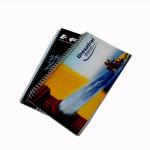 100checks Business forms Perfect for Recording Business Transactions