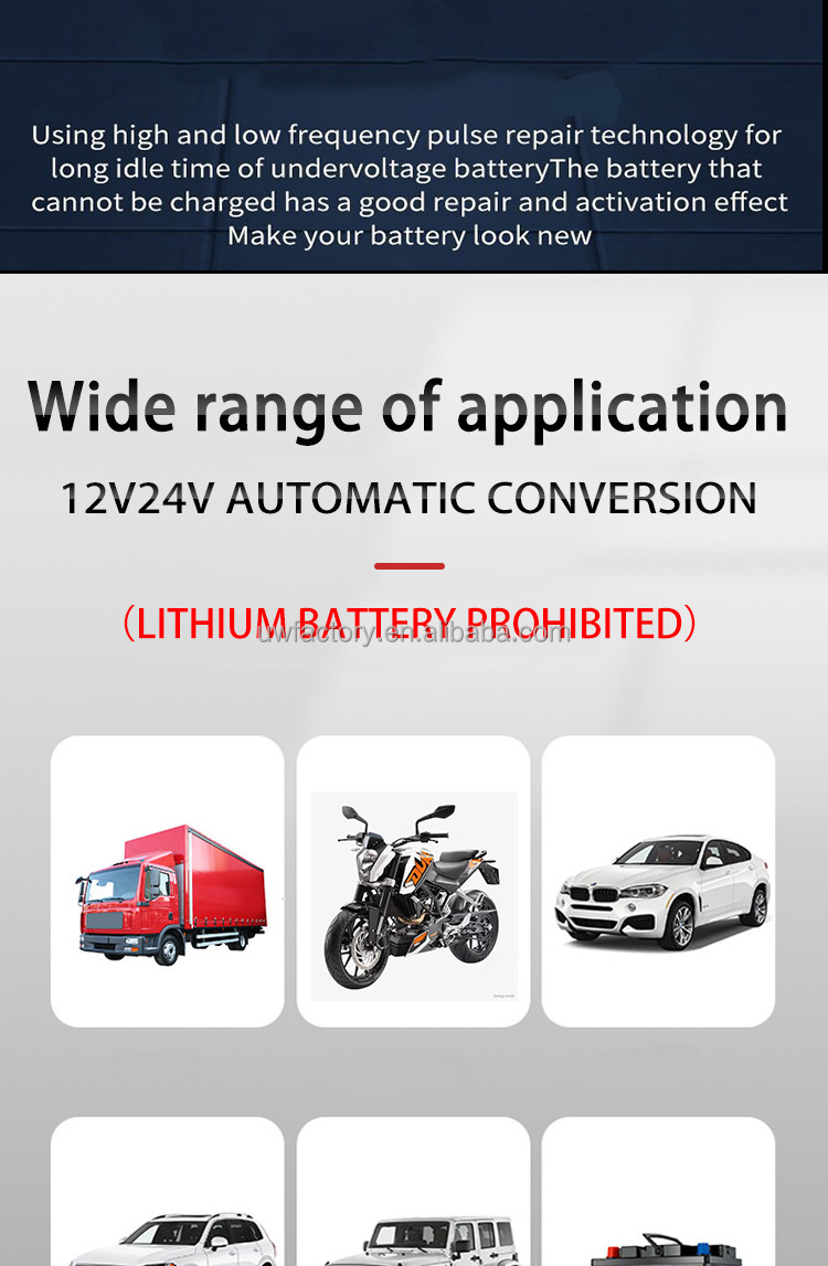 12v 24v 10a automatic smart car motorcycle truck tricycle battery charger for dry cell water/lead-acid battery private mold
