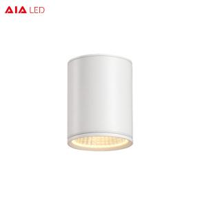 Wholesale IP65 rainproof 0-10V dimmable 25W COB LED downlight&amp;exterior LED downligthing for ceiling from china suppliers