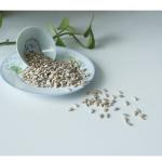 wholesale cheap price barkey grade China sunflower seed kernel Best seller on