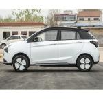 Luxurious Interior High End Pure Electric Car Joy 01 Max. Speed 100 Km/h