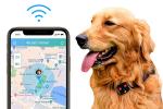 Ariza 4G Waterproof Pet GPS Tracker Device Collar With Camera
