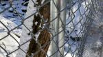 chain link wire mesh fence 50mm x 50mm hot dipped galvanized chain wire tension