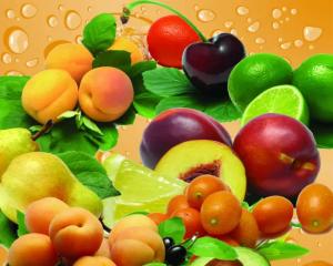 Wholesale Customization Fruit Puree Production Line Food Grade Stainelss Steel from china suppliers