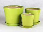 Unique Ceramic Pots For Distinctive And Eye-catching Plant Collection