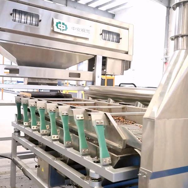 CE Certified Dry Cracking Pecan Shelling Machine 100000 Nuts Capacity 220V
