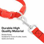 USB Rechargeable LED Dog Leash , LED Reflective Pet Leash 47.2 Inch 120cm