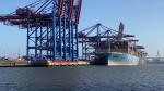 Shenzhen Amazon FBA Shipping Agent DDU DDP Freight Rates From China To North