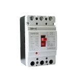 250 Amp 2 Poles DC Molded Case Circuit Breaker