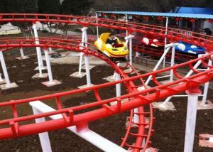 Wholesale 8KW Thrilling Crazy Mouse Ride CE Certification 1 Year Warranty For Family from china suppliers