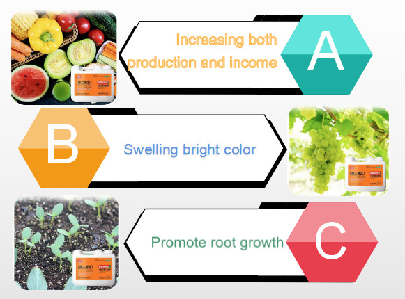 Yield Booster Water Soluble Liquid Fertilizer NPK 15-15-15