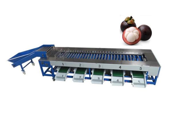 Mangosteen grading machine , mangosteen sorting machine, mangosteen sorter