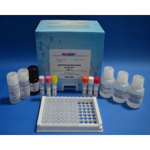 Wholesale Kanamycin ELISA Test Kit Drug Plasmid Detection With TMB Substrate from china suppliers