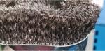 New Style 100mm Stainless Steel Square Wire Cup Brush for Cleaning Metal Surface