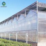 3.0m 6.0m Polycarbonate Aluminium Greenhouse UV Protection