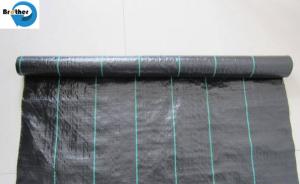 Wholesale Nursery Dark PE 160GSM Ground Cover Weed Control PP Weed Control Mat Fabric from china suppliers