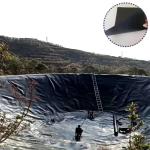 Smooth/Textured HDPE Geomembrane Liner for Pond Fish Lake Landfill Dam Black