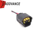 6098-0266 2 Pin Female 2.3mm(090) 62 Series Auto Connector Wiring Pigtail For
