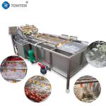 440V Food Cleaning Machine Industrial Vegetable Washing Machine For Olives