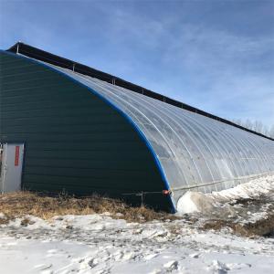 Wholesale Tunnel Passive Solar Greenhouse Single Span With Quilt For Cold Area Hydroponic from china suppliers