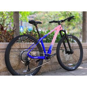 Wholesale 12 Speed Downhill Mountain Bike with Sunshine 11-50T Cassette and Aluminum Alloy Fork from china suppliers