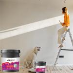 Acrylic Waterproofing Material for Tunnels Basements Swimming Pools and Building