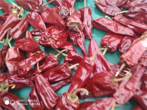 Wholesale Grade A 3000-5000shu Jinta Chilli Pepper With Sweet Taste from china suppliers