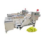 Crinkle Fries Industrial Washing Machines Capacity 150Kg Ce