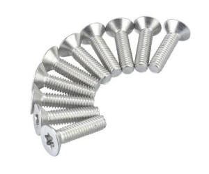 Wholesale Coarse Fine Pitch Flat Head Anti Theft Screw SS304 DIN M2 To M10 2# To 3/8 Inch from china suppliers