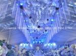 Luxury Wedding Tent with Lighting Truss and Stage system
