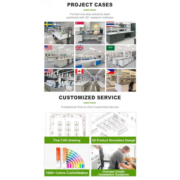 Wall-mounted Laboratory Fume Hood with Scrubber Tank Manufacturers Low Noise Level and Horizontal Airflow