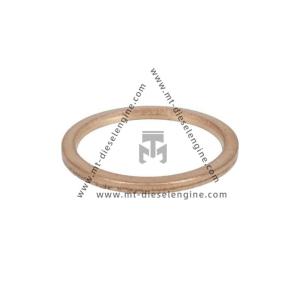 Wholesale Sealing ring 01118700 0111 8700 1118700 For DEUTZ TD3.6 Engine from china suppliers