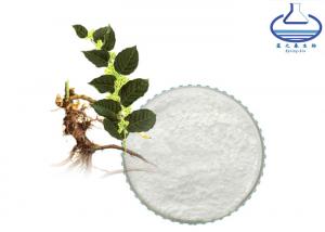 China Food Grade Polygonum Cuspidatum Extract Resveratrol CAS 501-36-0 on sale