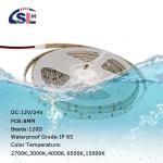 12V Waterproof IP65 60LED 3000k 4000k 6500k LED Strip Lights Touch Control