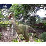 Amazing Artificial Realistic Dinosaur Models For Zoo / Water Park 24 Months