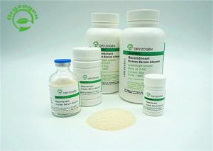 China Xeno Free Cell Culture Oryzogen Recombinant Human Serum Albumin EINECS No. 274-272-6 on sale