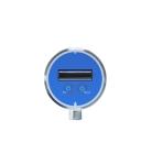G1/2 Male Electronic Digital Flow Switch With 18mm Probe