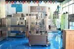 2000 ~ 3500 b/H Pneumatic Plastic Bottle Capping Machine Electrical Control