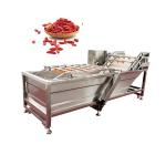 Fruit Washing Machinery Dryer Japan