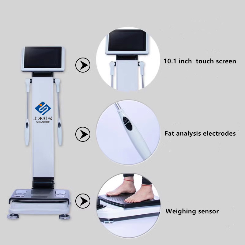Bioimpedance Professional 3d Body Composition Analyzer Machine