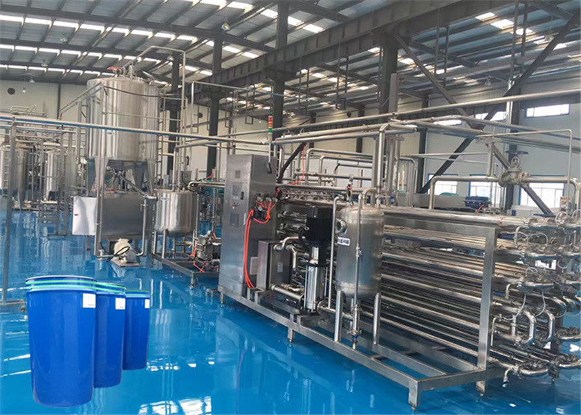 Onion Garlic Ginger Paste 60T/D Tomato Processing Line
