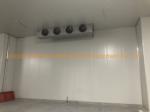 Small Refrigerant PU/PIR Sandwich Panel Cold Storage Cold Room for Storage