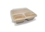 biodegradable sugarcane bagasse food container with pla plastic lid